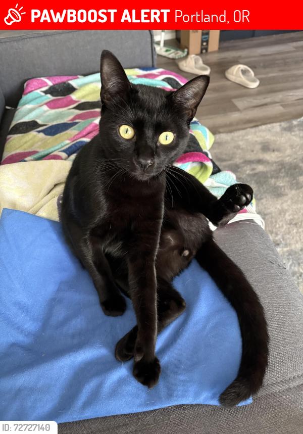 Lost Male Cat last seen SE 136th Ave and SE Clinton St, Portland, OR 97236
