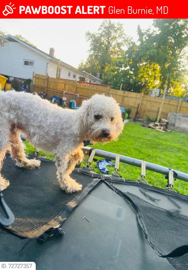 Lost Male Dog last seen Oakwood, Glen Burnie, MD 21061