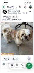 Lost Unknown Dog last seen Archer , Baytown, TX 77521