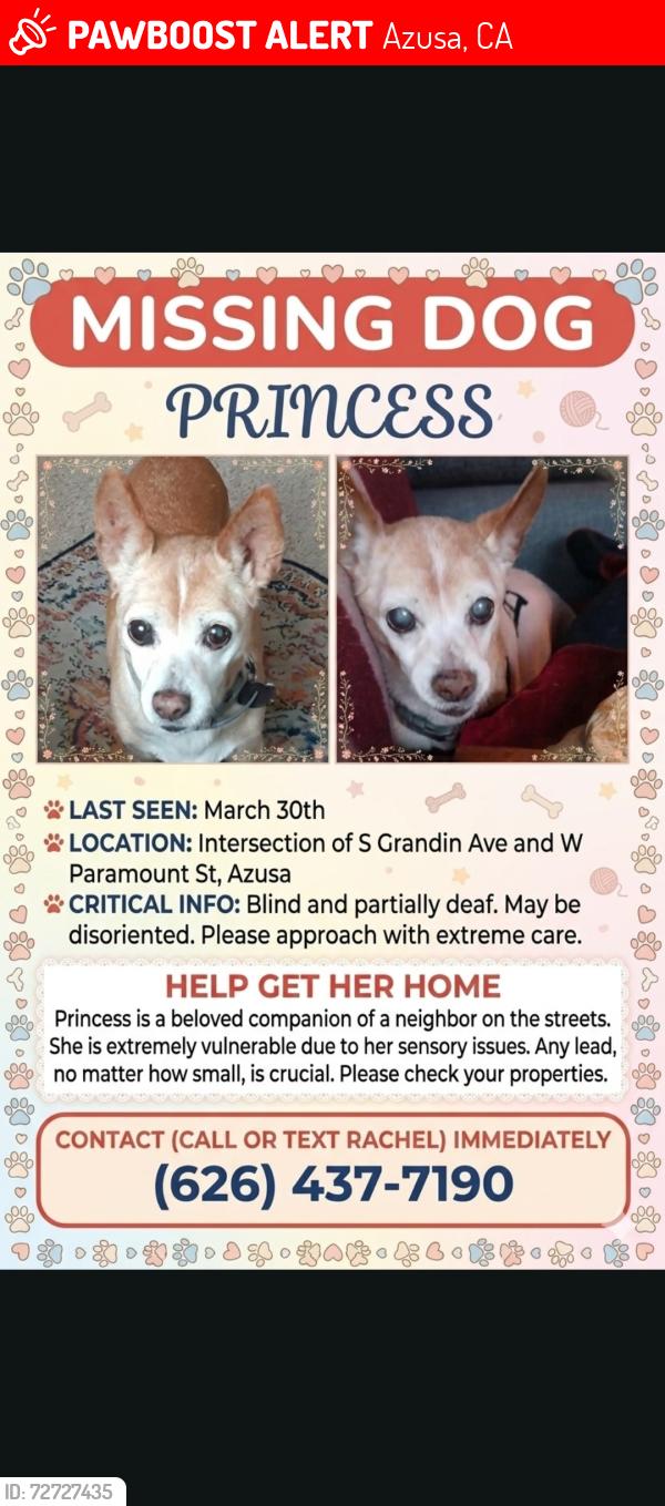 Lost Female Dog last seen GRANDIN AND PARAMOUNT, Azusa, CA 91702
