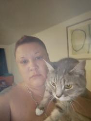 Lost Female Cat last seen Marquette, Snohomish, WA 98290