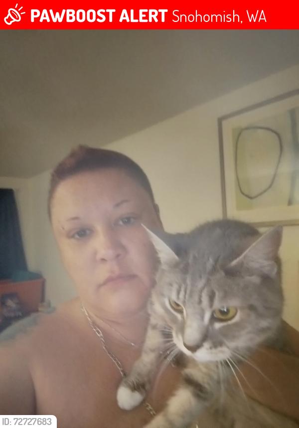 Lost Female Cat last seen Marquette, Snohomish, WA 98290