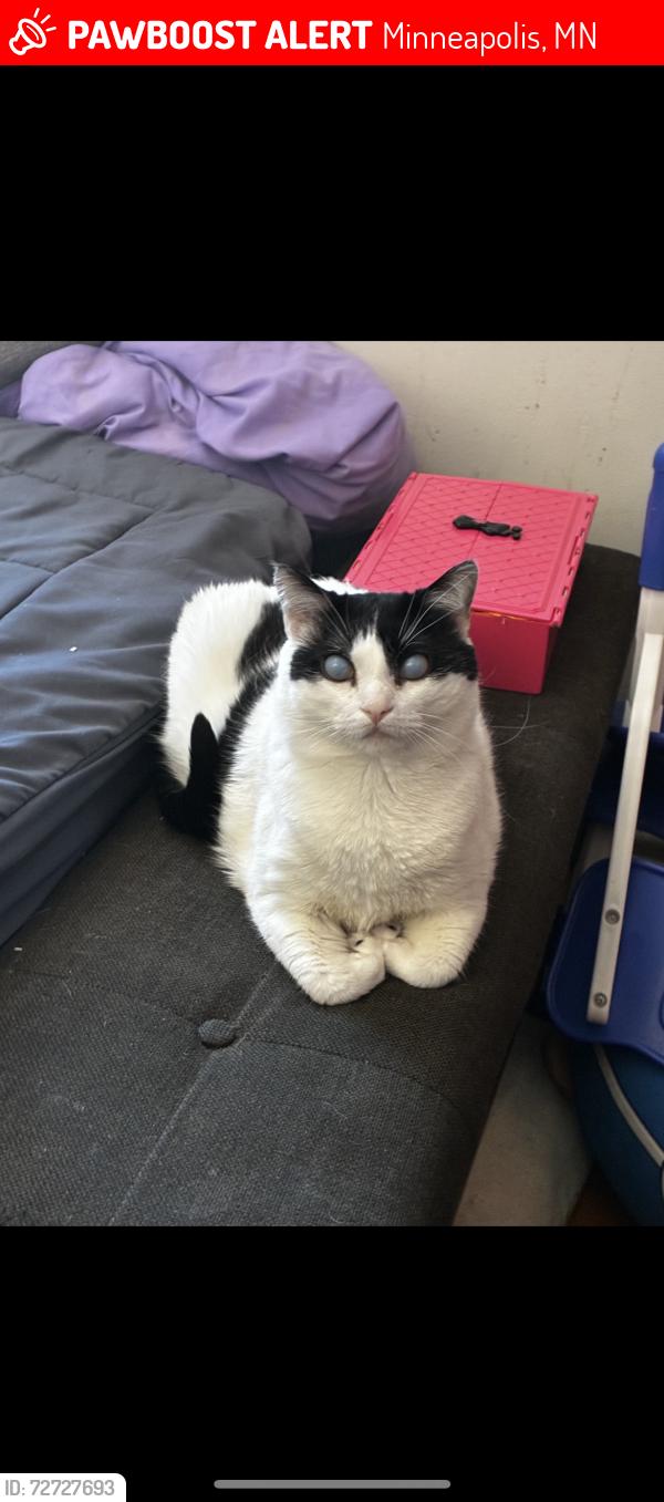 Lost Male Cat last seen 22nd and Irving Ave N, Minneapolis, MN 55411