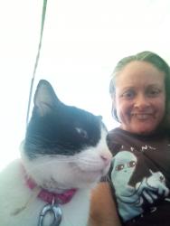 Lost Female Cat last seen Berry park, Lemon Grove, CA 91945