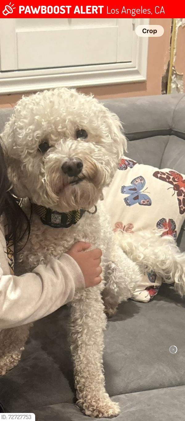 Lost Male Dog last seen Devonshire and San Jose , Los Angeles, CA 91345
