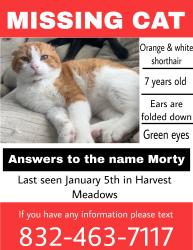 Lost Male Cat last seen Threshing harvest meadows , Buda, TX 78610