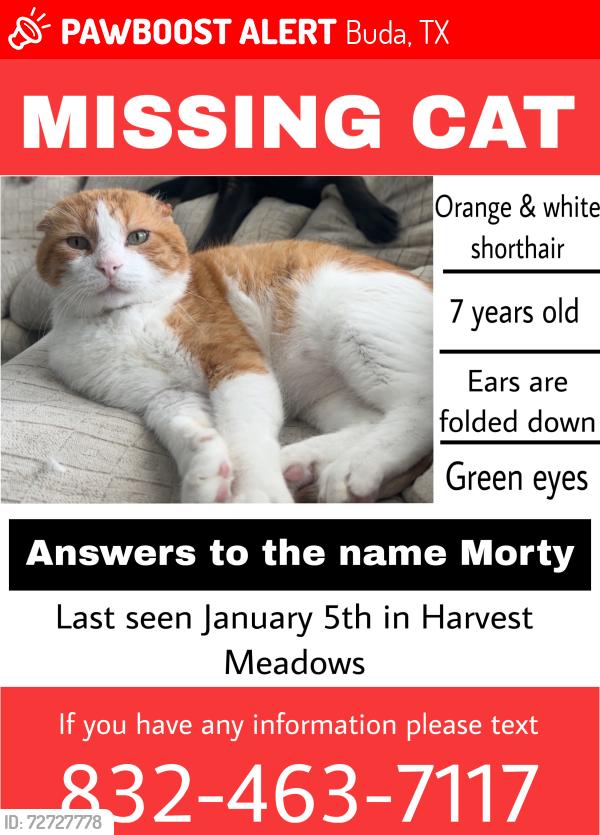 Lost Male Cat last seen Threshing harvest meadows , Buda, TX 78610