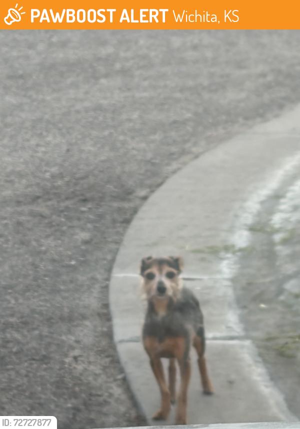 Found/Stray Unknown Dog last seen Culsdesac next to the pond off jewell as it exits to 119th, Wichita, KS 67235