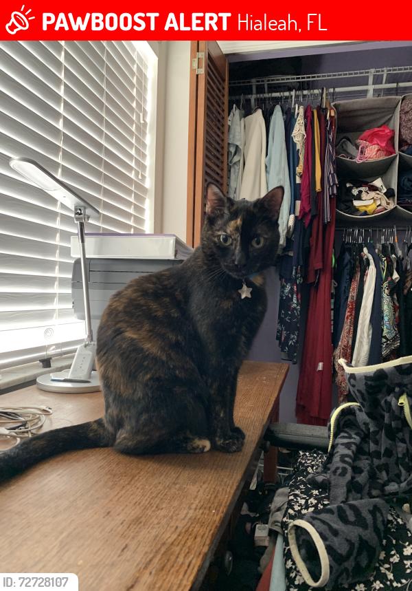 Lost Female Cat last seen 72nd St and 30th Ct. Ernest R Graham Elementary , Hialeah, FL 33018
