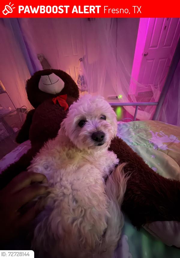 Lost Male Dog last seen Lakes of savannah area, Fresno, TX 77545