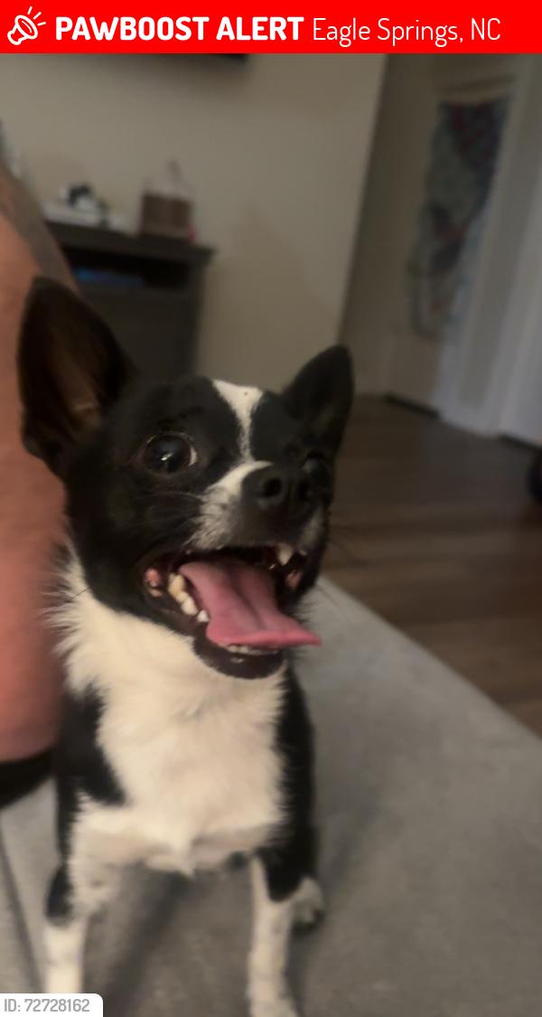 Lost Male Dog last seen Sneed Rd , Eagle Springs, NC 27242