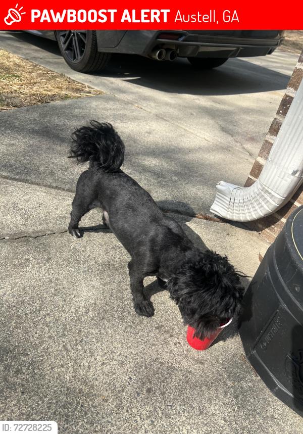 Lost Male Dog last seen Six flags park way , Austell, GA 30168