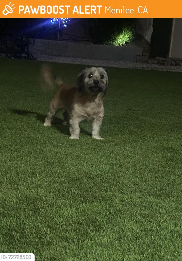Found/Stray Unknown Dog last seen Saddlehorn way, Menifee, CA 92584