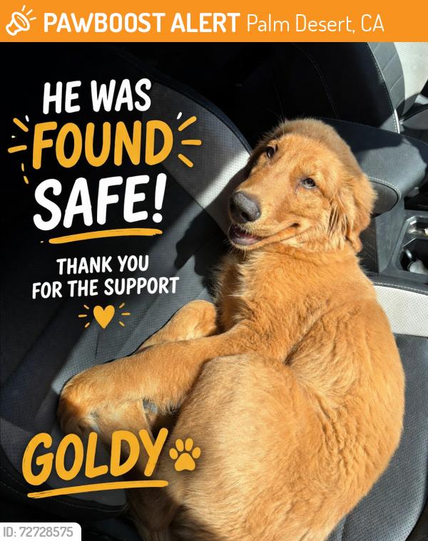 Found/Stray Female Dog last seen Galicia ct , Palm Desert, CA 92260