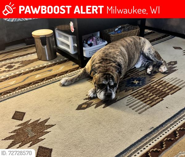 Lost Male Dog last seen 69th W. Acacia Street, Milwaukee, WI 53223