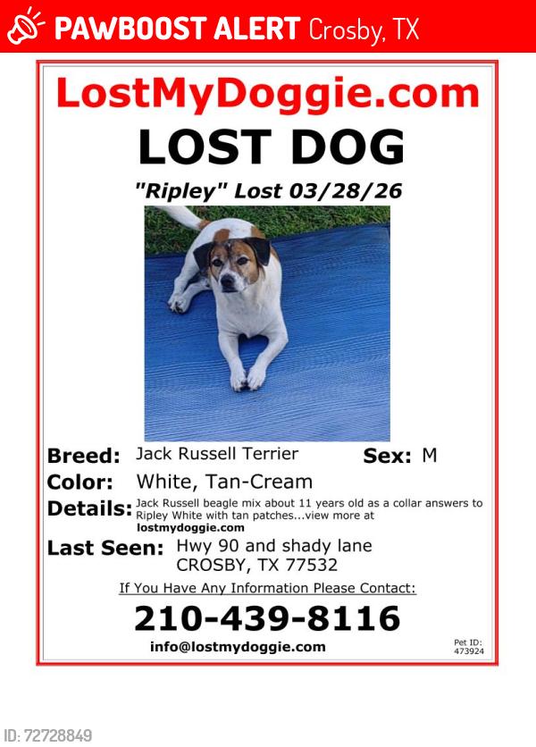 Lost Male Dog last seen Near shady lane and hwy 90, Crosby, TX 77532