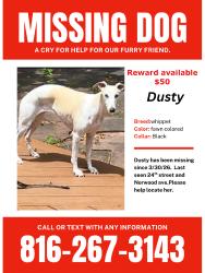 Lost Female Dog last seen 20th and maywood, Independence, MO 64052