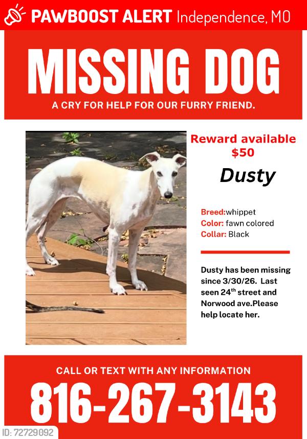 Lost Female Dog last seen 20th and maywood, Independence, MO 64052