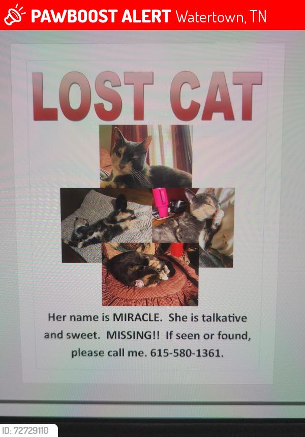 Lost Female Cat last seen Sparta Pike , Watertown, TN 37184