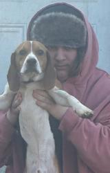 Lost Male Dog last seen Food Lion, King, NC 27021