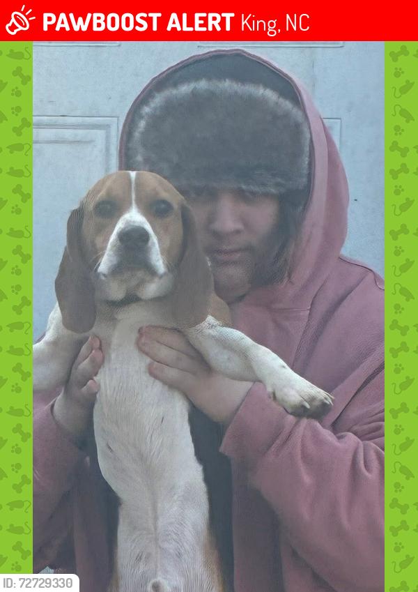 Lost Male Dog last seen Food Lion, King, NC 27021