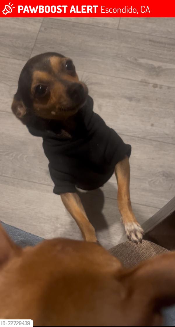 Lost Male Dog last seen Near Lehner ave , Escondido, CA 92027