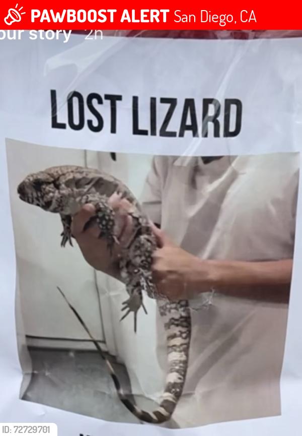 Lost Female Reptile last seen Balboa San Diego , San Diego, CA 92111