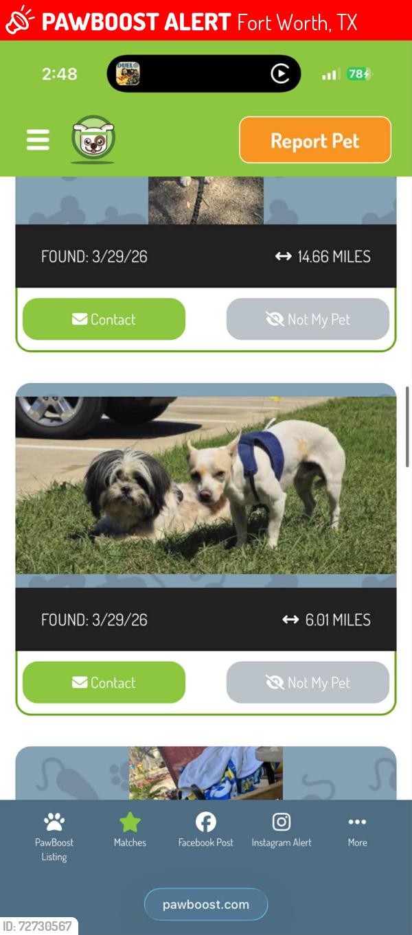 Lost Male Dog last seen Fot, Fort Worth, TX 76115