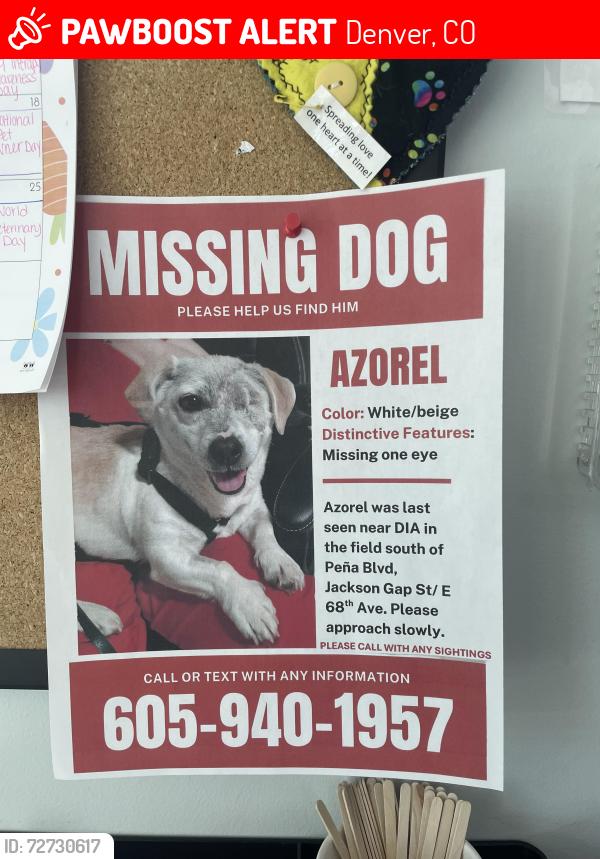 Lost Male Dog last seen South of Peña blvd Jackson gap at / E 66th ave , Denver, CO 80249