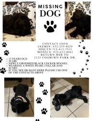 Lost Female Dog last seen Cogburn park Dr, Houston, TX 77047