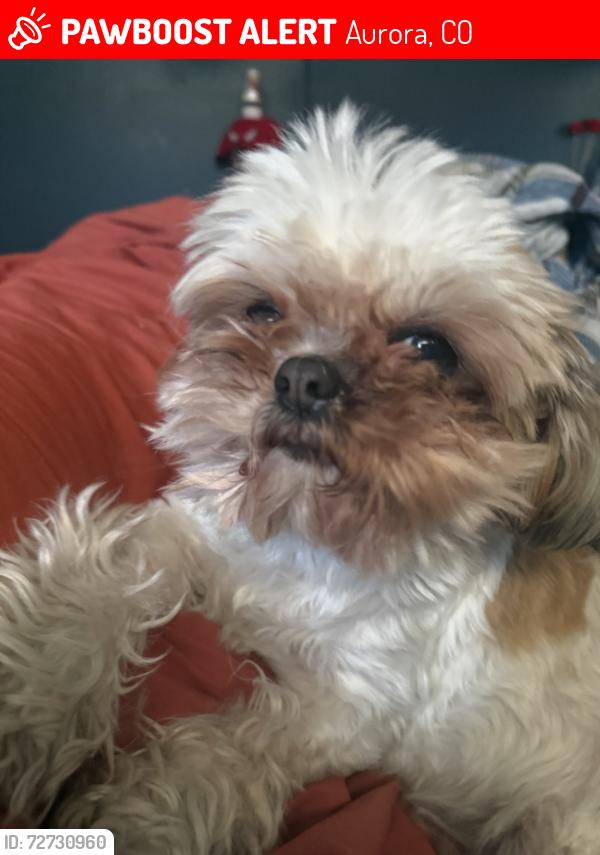 Lost Female Dog last seen Near Ironton at, Aurora, CO 80010