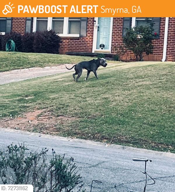 Found/Stray Male Dog last seen Stonecreek rd at Powder Springs Rd , Smyrna, GA 30080