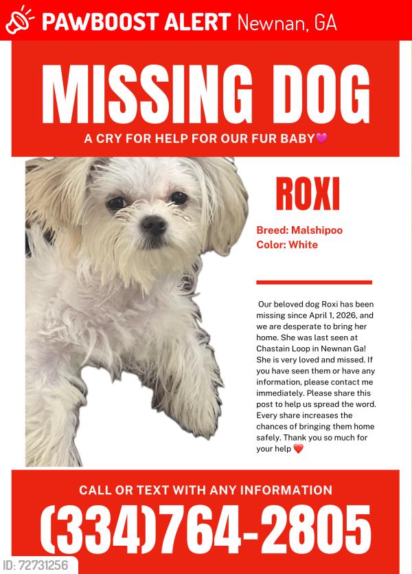 Lost Female Dog last seen Chastain Loop, Newnan, GA 30263