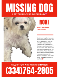 Lost Female Dog last seen Chastain Loop, Newnan, GA 30263