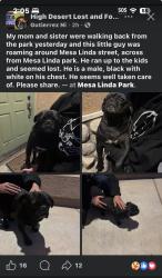 Found/Stray Male Dog last seen mesa linda park , Victorville, CA 92392