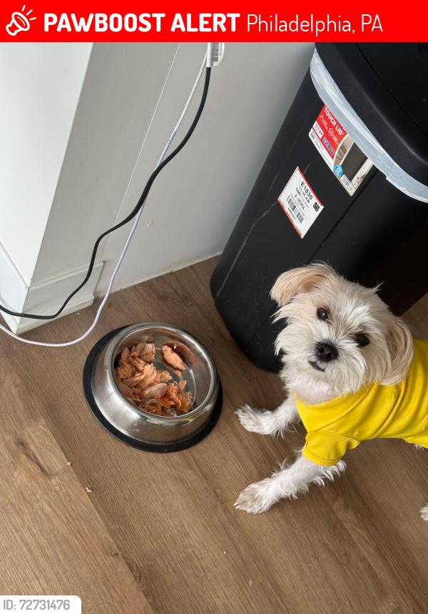 Lost Male Dog last seen Near N 5th St, Philadelphia, PA 19140, Philadelphia, PA 19140