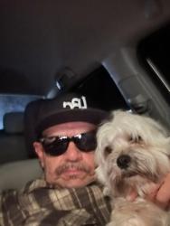 Lost Male Dog last seen Technology drive and Ada, Irvine, CA 92618