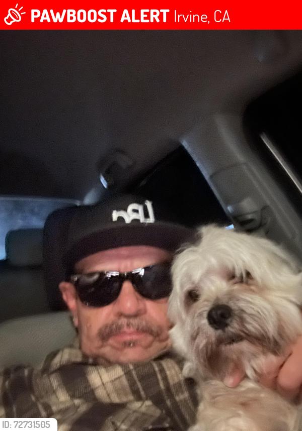 Lost Male Dog last seen Technology drive and Ada, Irvine, CA 92618