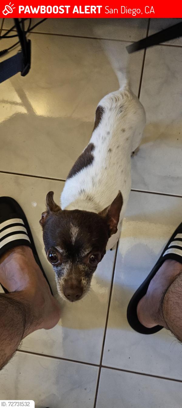 Lost Male Dog last seen Near terol ct, San Diego CA 92114, San Diego, CA 92114