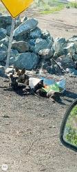 Found/Stray Female Dog last seen Highway 4 and woodsboro, Stockton, CA 95203