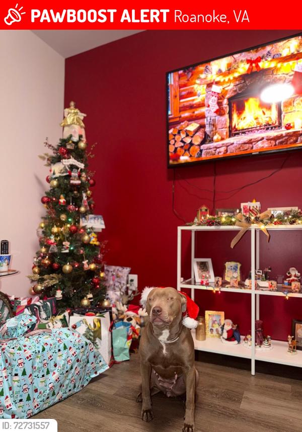 Lost Male Dog last seen Near 14th St SE , Roanoke, VA 24013