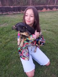 Lost Female Dog last seen Rua Jonas Leite 171vl Bom Jesus , Vila Bom Jesus, SP 18072-831