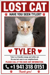Lost Male Cat last seen Harrison ranch, Parrish, FL 34219