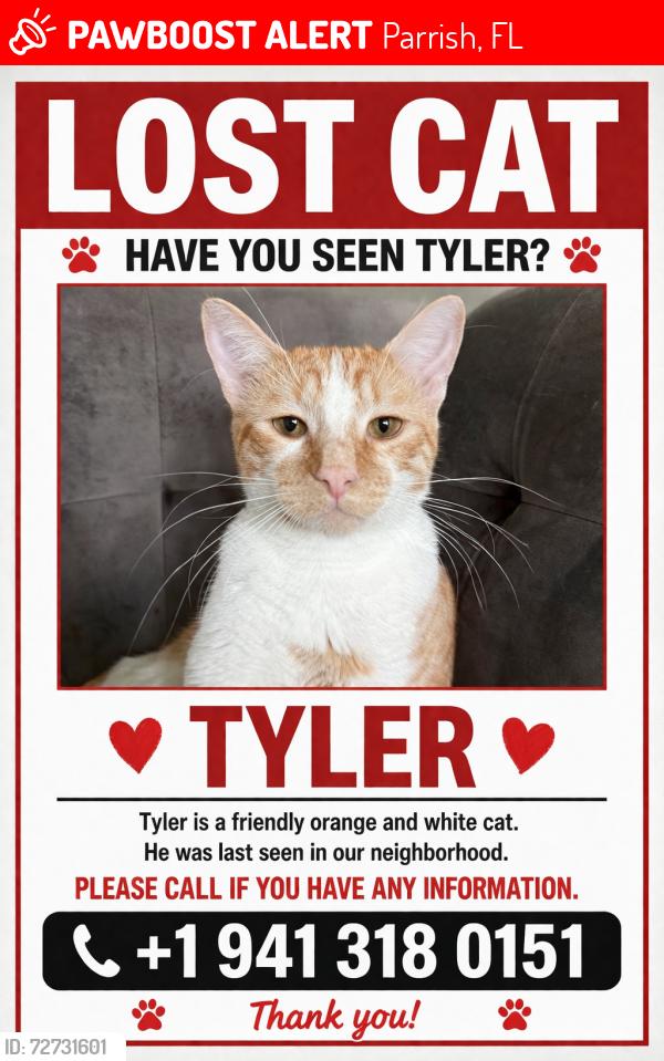 Lost Male Cat last seen Harrison ranch, Parrish, FL 34219