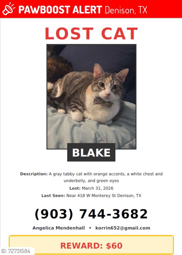Lost Female Cat last seen Denison Administration Building , Denison, TX 75020