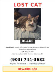 Lost Female Cat last seen Denison Administration Building , Denison, TX 75020