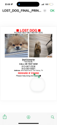 Lost Male Dog last seen Near Nash drive , The Colony, TX 75056