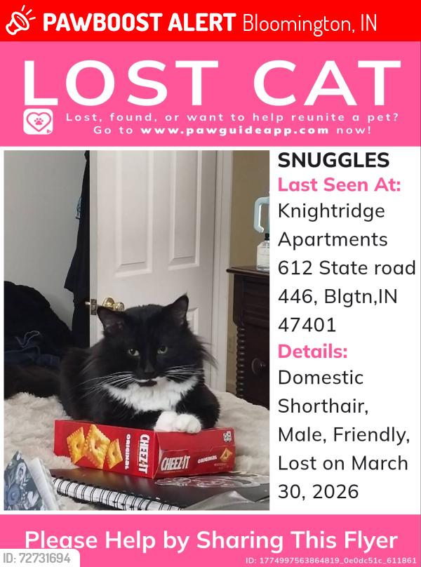 Lost Male Cat last seen Near and east 3rd. Street , Bloomington, IN 47401