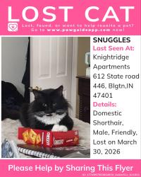 Lost Male Cat last seen Near and east 3rd. Street , Bloomington, IN 47401