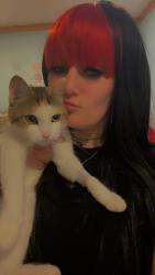 Lost Female Cat last seen Russle st, Houston, TX 77026